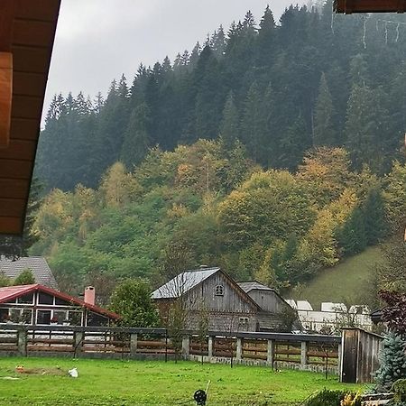 Casa De Poveste スチェヴィツァ エクステリア 写真